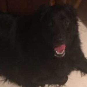 Meet your Posher, Bryan